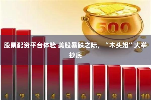 股票配资平台体验 美股暴跌之际，“木头姐”大举抄底
