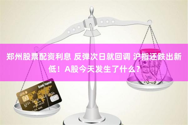 郑州股票配资利息 反弹次日就回调 沪指还跌出新低！A股今天发生了什么？