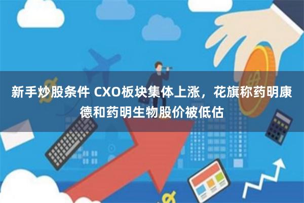 新手炒股条件 CXO板块集体上涨，花旗称药明康德和药明生物股价被低估