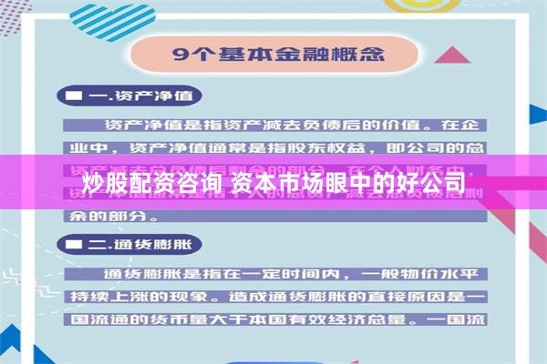 炒股配资咨询 资本市场眼中的好公司
