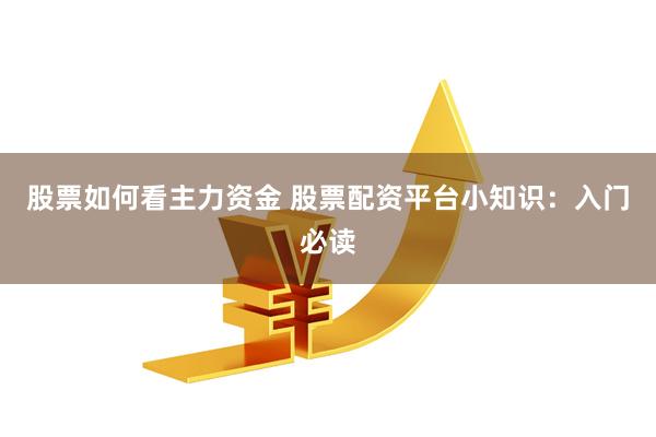 股票如何看主力资金 股票配资平台小知识：入门必读